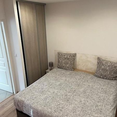 Appartement Oasis Proche De Lyon Groupama Lcdl Meyzieu Exterior foto