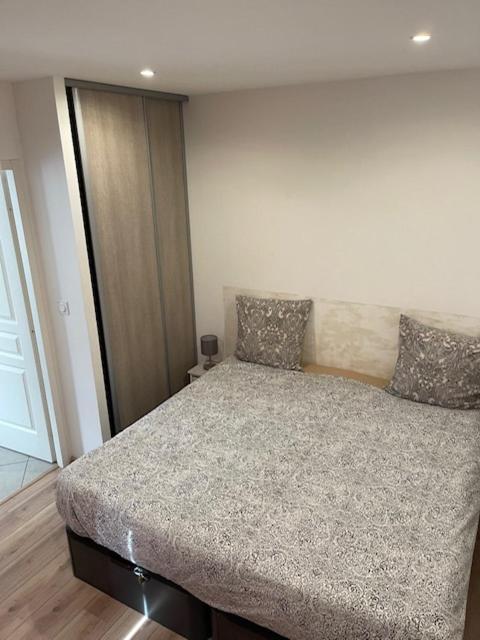 Appartement Oasis Proche De Lyon Groupama Lcdl Meyzieu Exterior foto